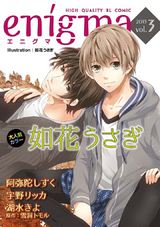 enigma vol.3 パッケージ画像表