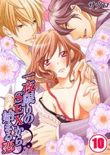 一夜限りのSEXから始まる恋 (10) パッケージ画像表