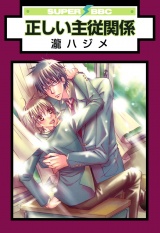 正しい主従関係 パッケージ画像表
