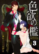 色欲の檻(3) パッケージ画像表