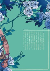 Marchen パッケージ画像裏