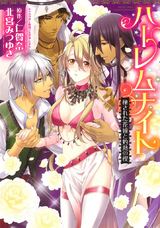 ハーレムナイト 秘された花嫁と灼熱の楔 パッケージ画像表