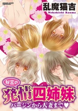 秘密の発情四姉妹~バージンから人妻まで~ パッケージ画像表