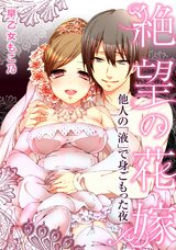 絶望の花嫁~他人の「液」で身ごもった夜~ パッケージ画像表
