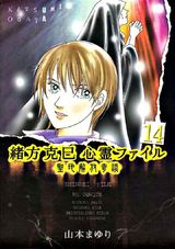 緒方克巳心霊ファイル 14 パッケージ画像表