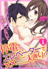 停電エレベーターで××と二人きり!?~見えないからって大胆にしないで~(1) パッケージ画像表