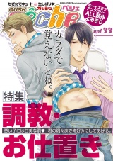 GUSHpeche 調教・お仕置き パッケージ画像表