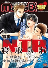 GUSHmaniaEX NTR 寝取られ パッケージ画像表