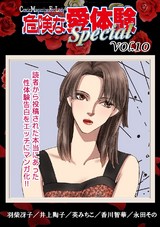 危険な愛体験special10 パッケージ画像表