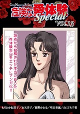 危険な愛体験special13 パッケージ画像表