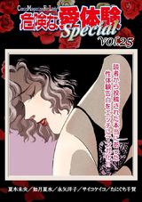 危険な愛体験special25 パッケージ画像表