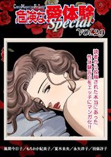 危険な愛体験special29 パッケージ画像表