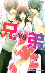 兄VS弟 ~アブナイ誘惑LOVE~ パッケージ画像表