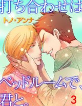 打ち合わせはベッドルームで、君と。 3 パッケージ画像表