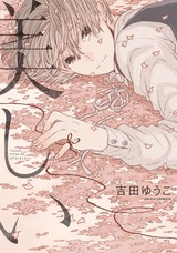美しい パッケージ画像表