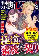 禁断Lovers Vol.061 極道と蜜夜の契り パッケージ画像表