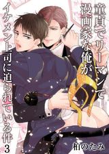 童貞でリーマンで漫画家な俺がイケメン上司に迫られている件(3) パッケージ画像表