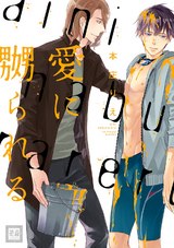 愛に嬲られる パッケージ画像表