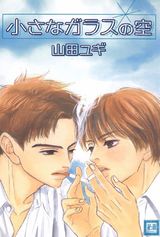 小さなガラスの空 パッケージ画像表