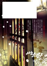 略奪者 御神刀シリーズ パッケージ画像裏
