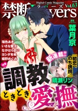 禁断Lovers Vol.063 調教ときどき愛撫 パッケージ画像表