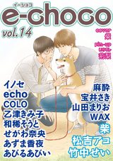 e-choco vol.14 パッケージ画像