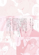イヤよイヤよも? パッケージ画像裏