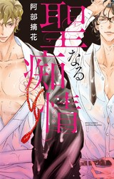 聖なる痴情 パッケージ画像表