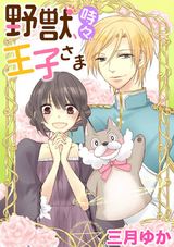 野獣、時々、王子さま パッケージ画像表