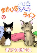 ゆかいな多猫ライフ3 パッケージ画像表