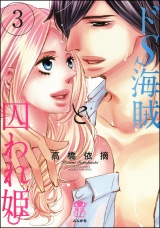 ドS海賊と囚われ姫【完全版】 3 パッケージ画像表