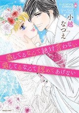 愛してるなんて絶対言わない/愛してるなんて認めてあげない パッケージ画像表