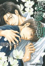 憂鬱な朝(3) パッケージ画像表