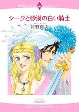 シークと砂漠の白い騎士 パッケージ画像表