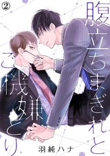 腹立ちまぎれとご機嫌とり(2) パッケージ画像表