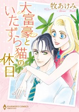 大富豪といたずら猫の休日 パッケージ画像表