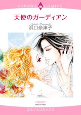 天使のガーディアン パッケージ画像表
