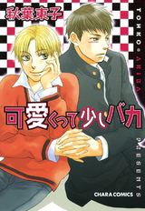可愛くって少しバカ パッケージ画像表