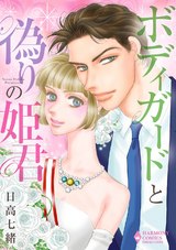 ボディガードと偽りの姫君 パッケージ画像表