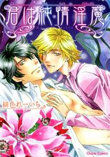 君は純情淫魔 パッケージ画像表
