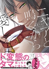 ニャアと鳴くから愛してよ パッケージ画像表