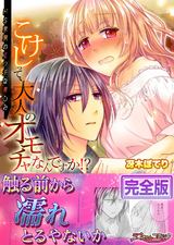 こけしって、大人のオモチャなんですか!?-ドS京男のエッチな楽しみ【完全版】 パッケージ画像表