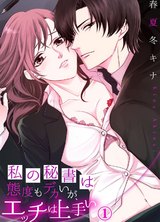 私の秘書は態度もデカいが、エッチは上手い1 パッケージ画像表