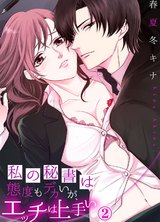 私の秘書は態度もデカいが、エッチは上手い2 パッケージ画像表