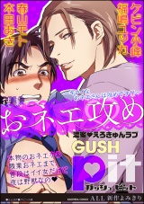 GUSHpit おネエ攻め~キレイなおネエさんは攻めです!!~ パッケージ画像表