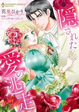 隠された愛の逃走 パッケージ画像表