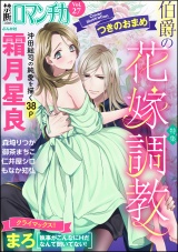 禁断Loversロマンチカ Vol.027 伯爵の花嫁調教 パッケージ画像表