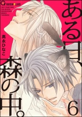 ある日、森の中。 VI(6) パッケージ画像表