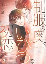 制服の奥、いびつな初恋3 パッケージ画像表