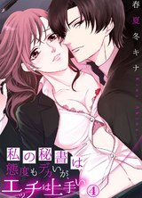 私の秘書は態度もデカいが、エッチは上手い4 パッケージ画像表